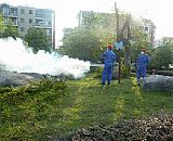 �@�֚��x(ch��ng)